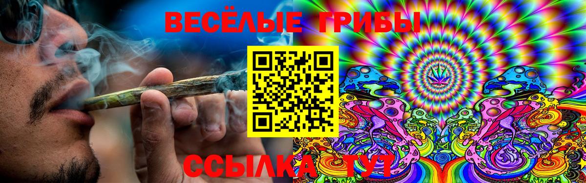 Тихвин  Псилоцибиновые грибы мицелий  продажа наркотиков  Вход с VPN  Псилоцибиновые грибы мицелий 
